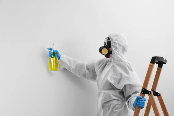 Why You Should Choose Our Mold Remediation Services in Oak Hills, PA